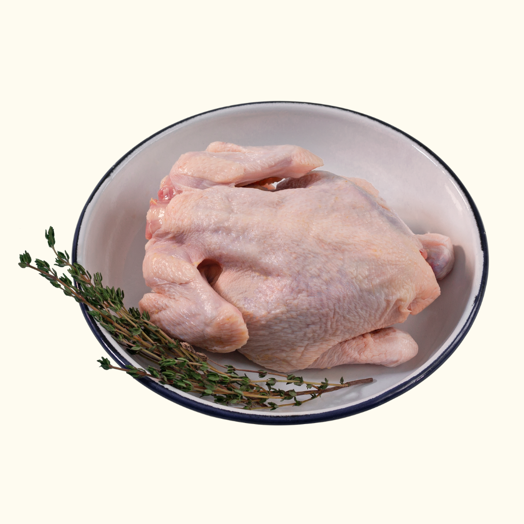 GG™ French Poussin