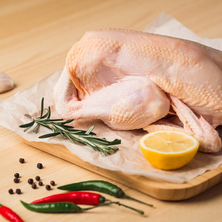 GG™ French Poussin