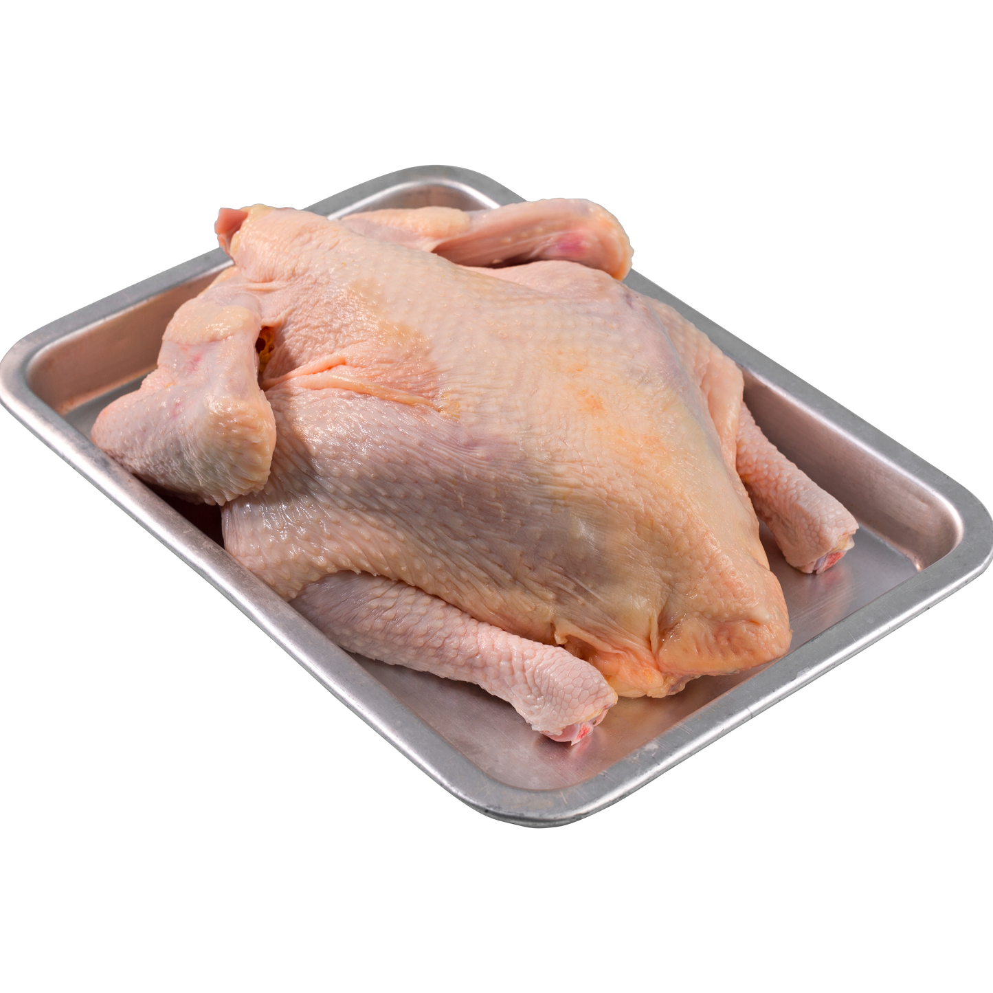 GG™ French Poulet (Large)