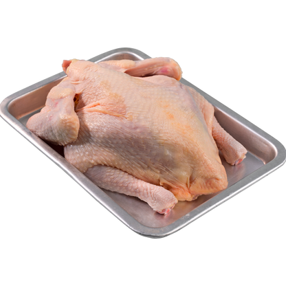GG™ French Poulet (Large)