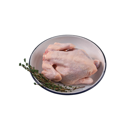 GG™ French Poussin